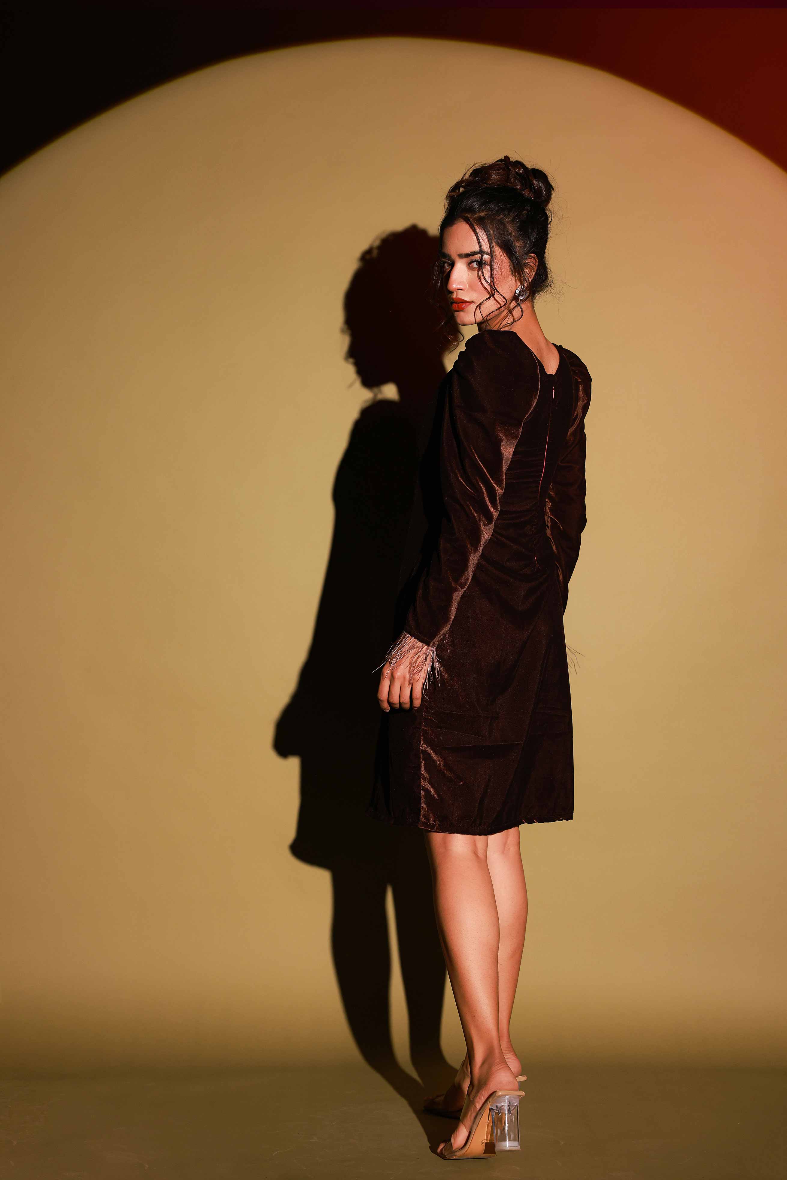 Brown feather Sleeve Velvet Mini Dress