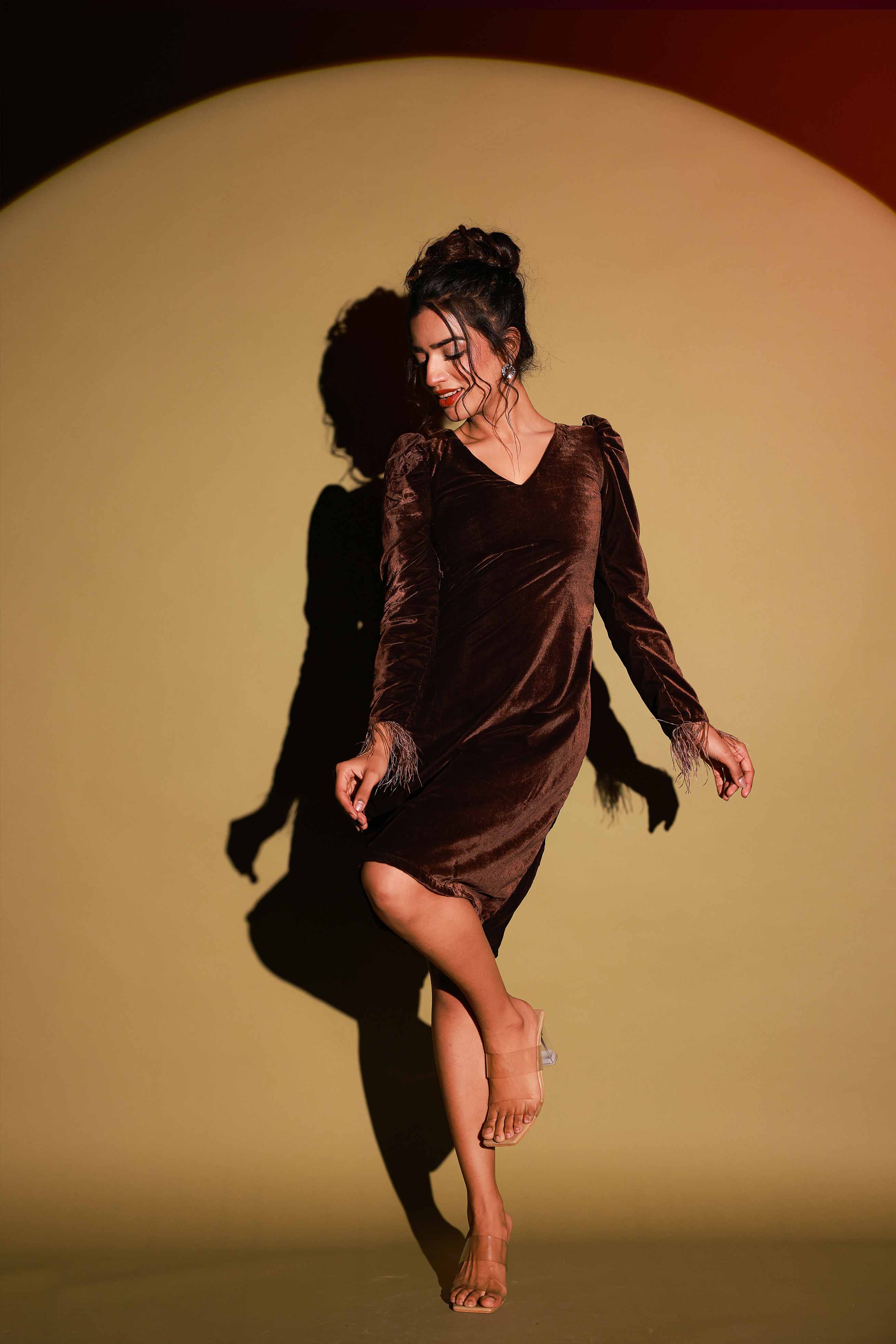 Brown feather Sleeve Velvet Mini Dress