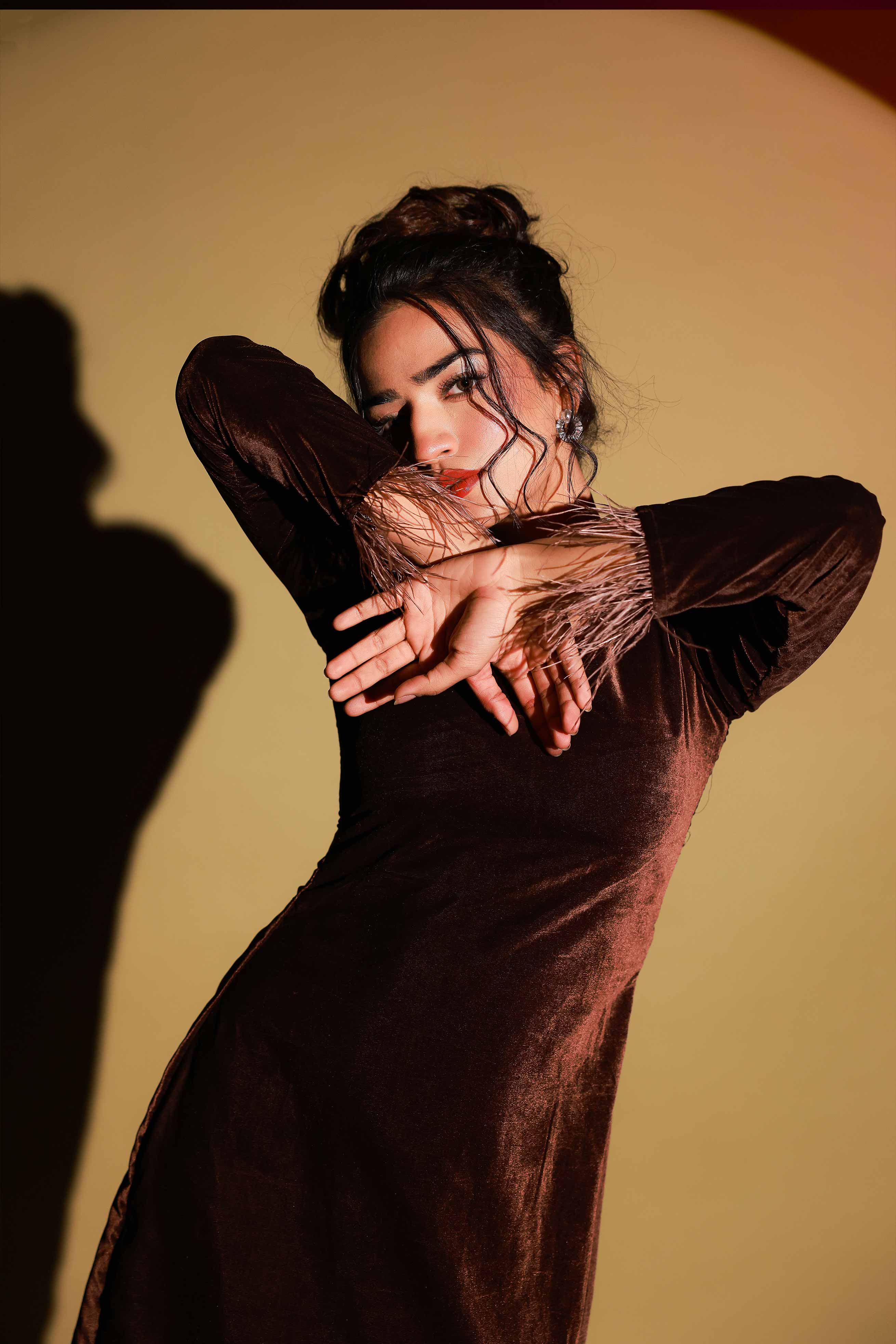Brown feather Sleeve Velvet Mini Dress
