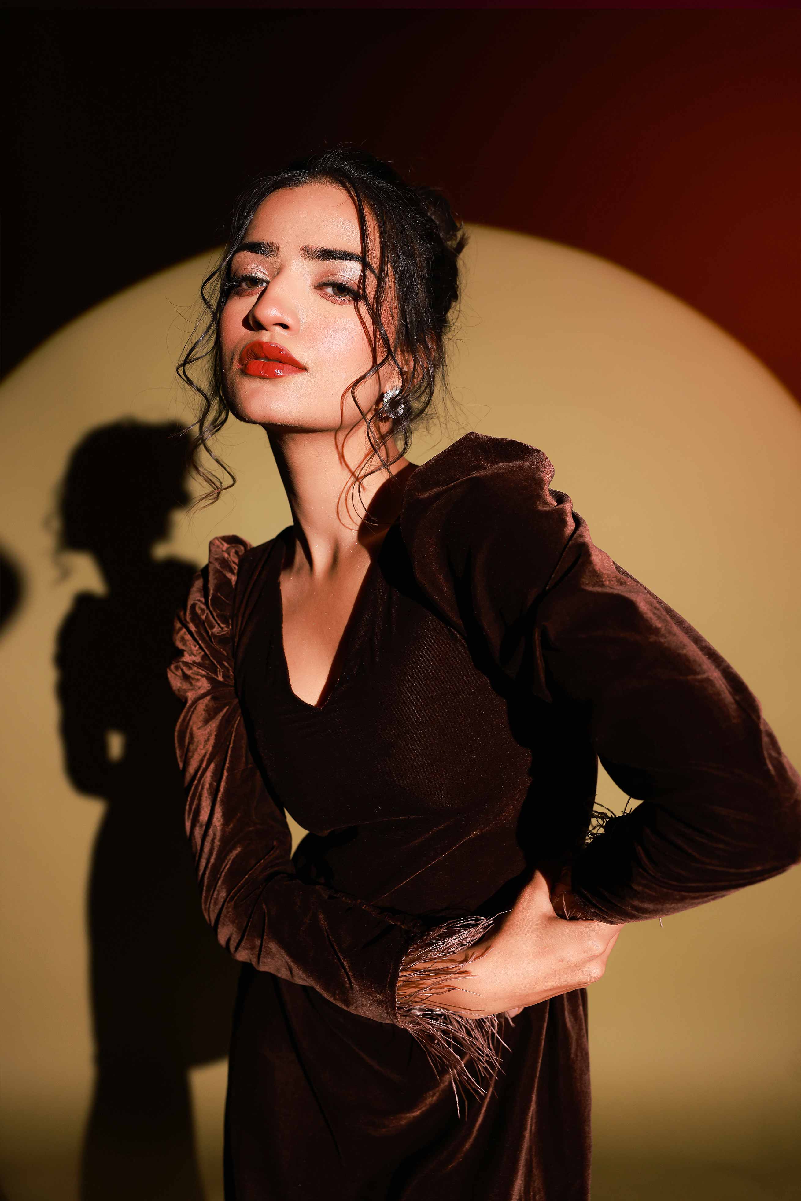 Brown feather Sleeve Velvet Mini Dress