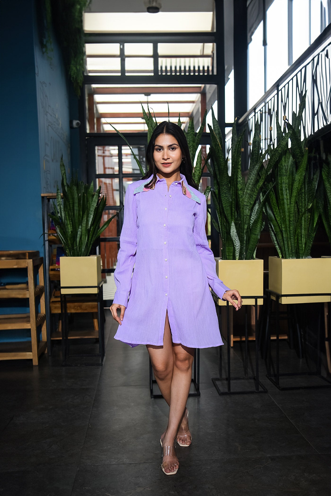 Lavender Highlighted Collar Shirt Dress