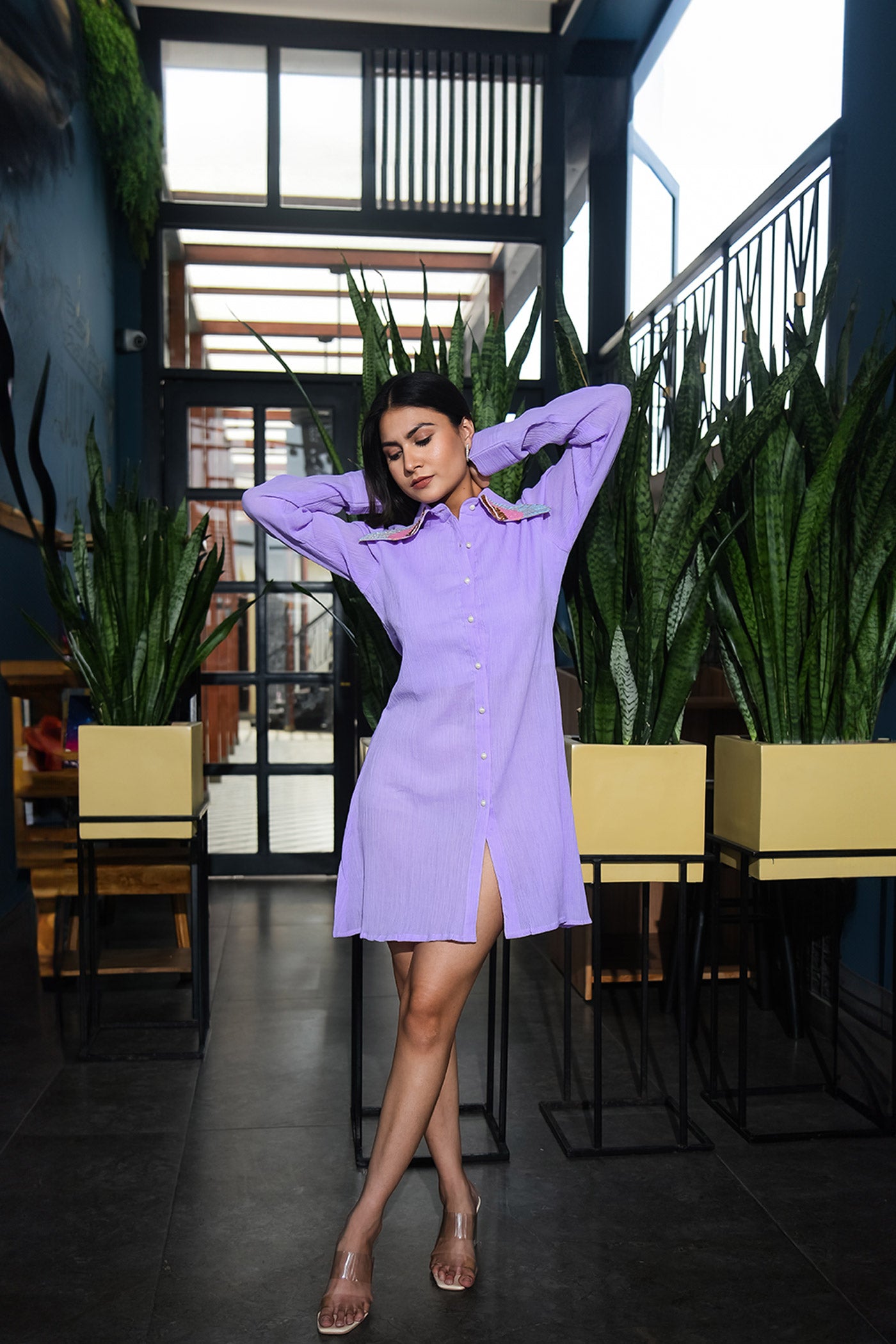 Lavender Highlighted Collar Shirt Dress